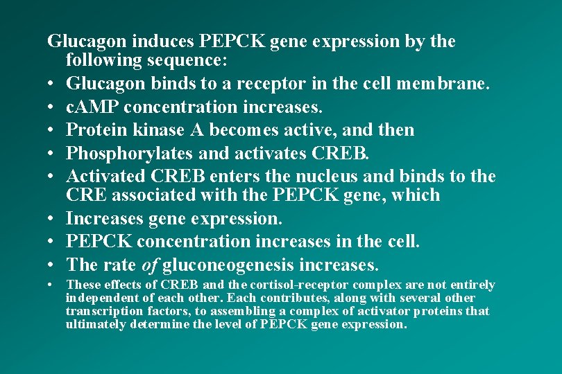 Glucagon induces PEPCK gene expression by the following sequence: • Glucagon binds to a