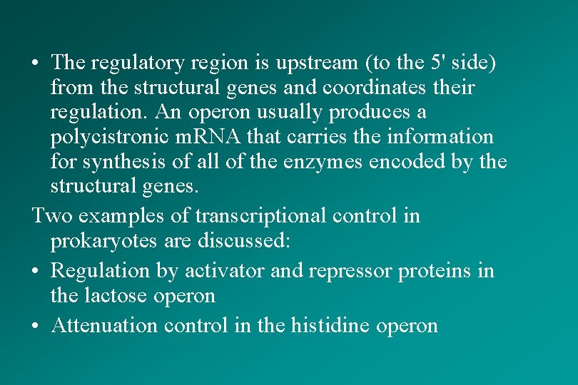  • The regulatory region is upstream (to the 5' side) from the structural