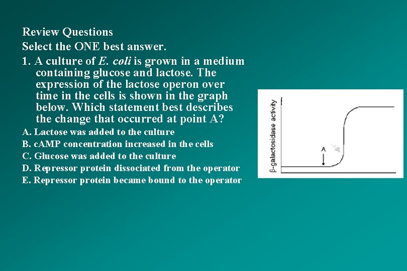 Review Questions Select the ONE best answer. 1. A culture of E. coli is