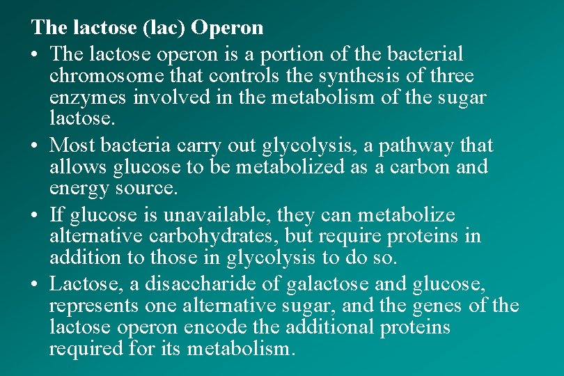 The lactose (lac) Operon • The lactose operon is a portion of the bacterial