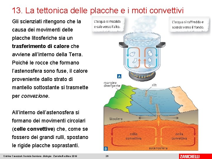 13. La tettonica delle placche e i moti convettivi Gli scienziati ritengono che la