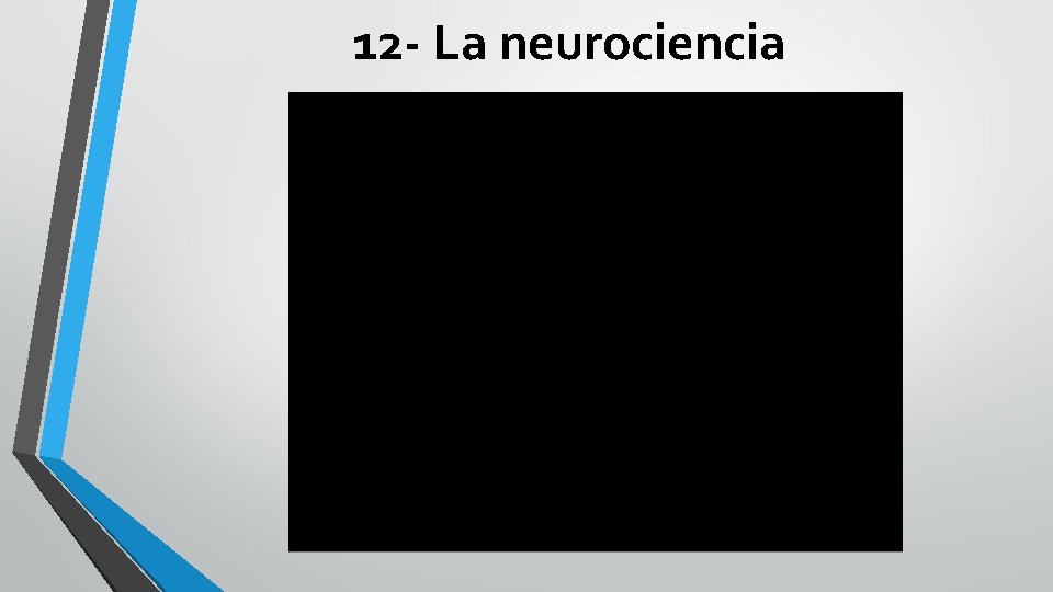 12 - La neurociencia 