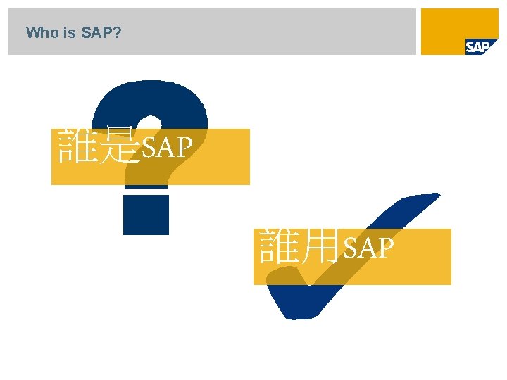 Who is SAP? 誰是SAP 誰用SAP 
