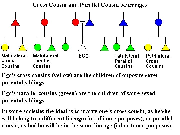 Cross Cousin and Parallel Cousin Marriages Ego's cross cousins (yellow) are the children of Cross Cousin and Parallel Cousin Marriages Ego's cross cousins (yellow) are the children of