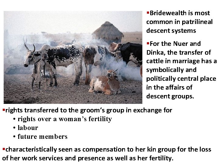 §Bridewealth is most common in patrilineal descent systems §For the Nuer and Dinka, the §Bridewealth is most common in patrilineal descent systems §For the Nuer and Dinka, the