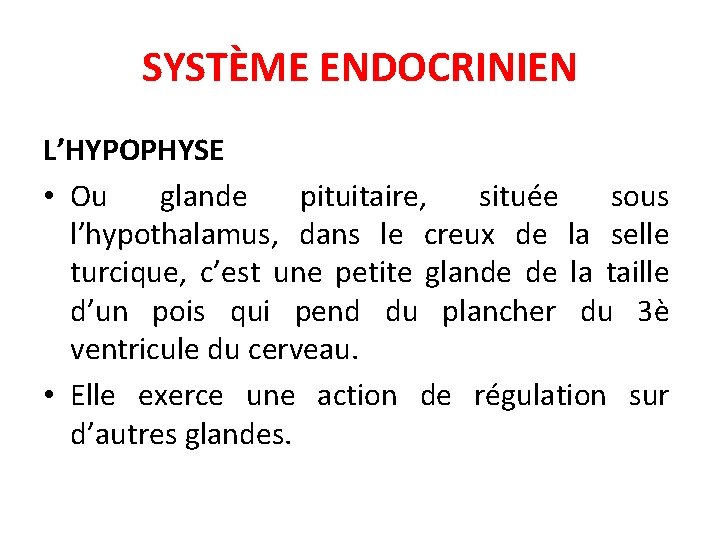 SYSTÈME ENDOCRINIEN L’HYPOPHYSE • Ou glande pituitaire, située sous l’hypothalamus, dans le creux de