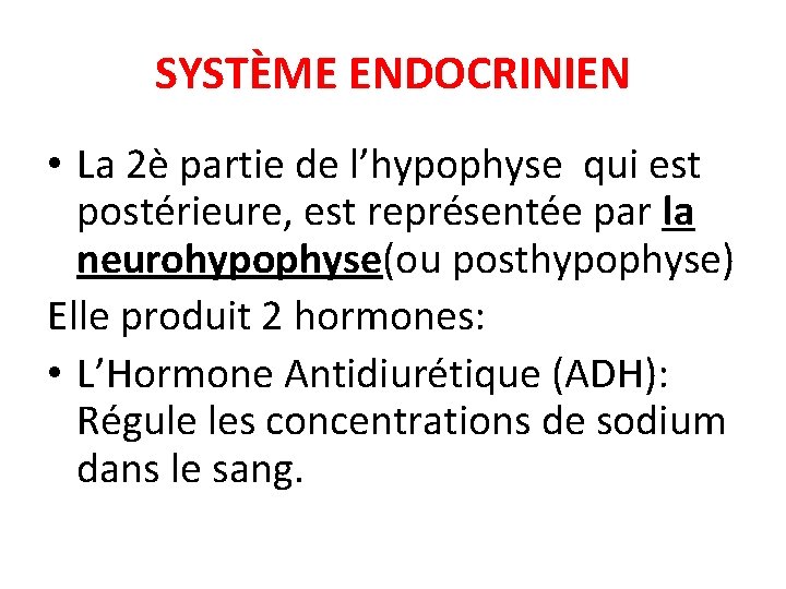 SYSTÈME ENDOCRINIEN • La 2è partie de l’hypophyse qui est postérieure, est représentée par