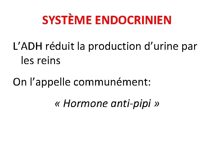 SYSTÈME ENDOCRINIEN L’ADH réduit la production d’urine par les reins On l’appelle communément: «