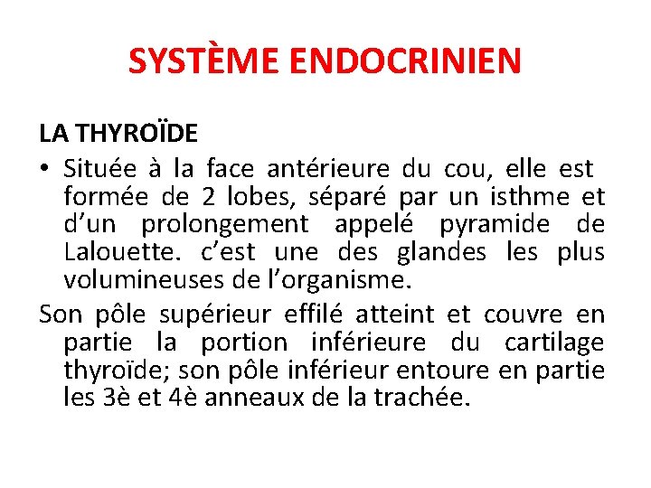 SYSTÈME ENDOCRINIEN LA THYROÏDE • Située à la face antérieure du cou, elle est