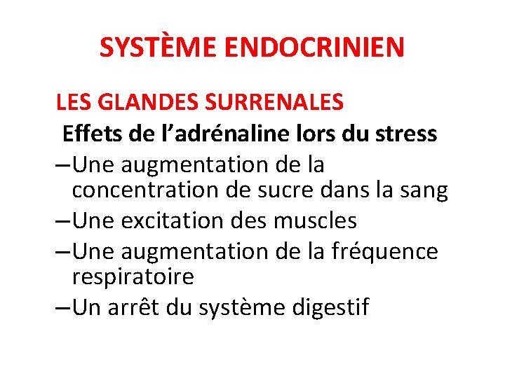 SYSTÈME ENDOCRINIEN LES GLANDES SURRENALES Effets de l’adrénaline lors du stress – Une augmentation