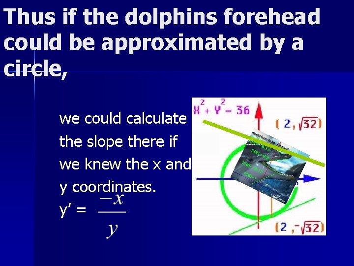 Thus if the dolphins forehead could be approximated by a circle, we could calculate
