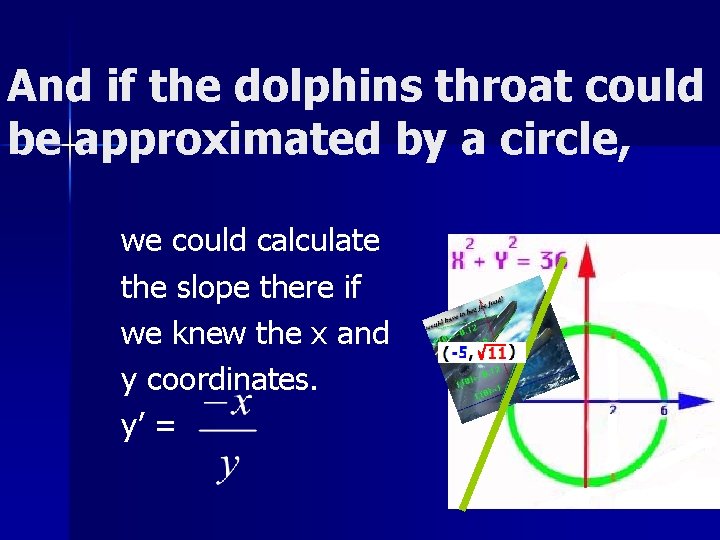 And if the dolphins throat could be approximated by a circle, we could calculate