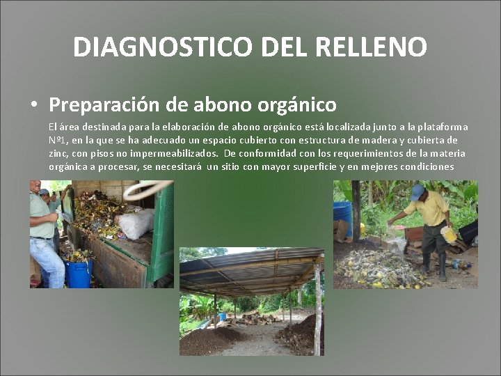 DIAGNOSTICO DEL RELLENO • Preparación de abono orgánico El área destinada para la elaboración