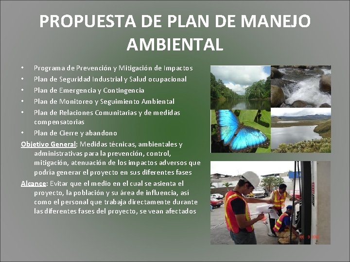 PROPUESTA DE PLAN DE MANEJO AMBIENTAL Programa de Prevención y Mitigación de Impactos Plan