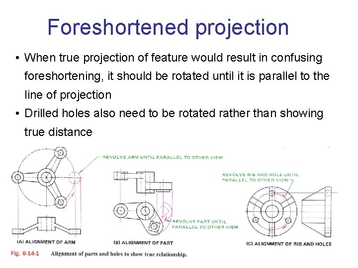 Foreshortened projection • When true projection of feature would result in confusing foreshortening, it