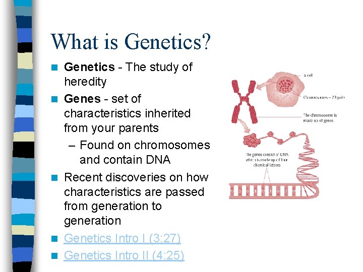 What is Genetics? n n n Genetics - The study of heredity Genes -