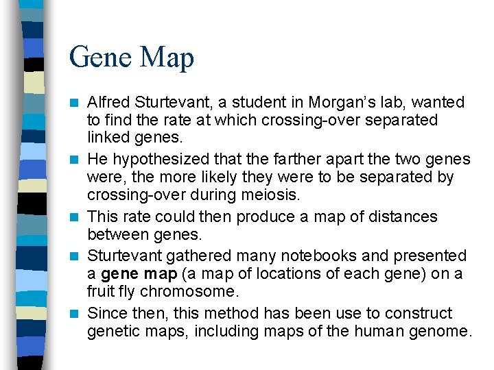 Gene Map n n n Alfred Sturtevant, a student in Morgan’s lab, wanted to