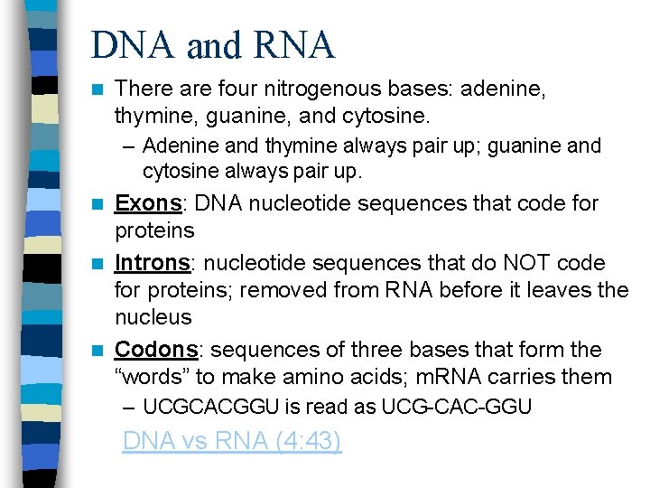 DNA and RNA n There are four nitrogenous bases: adenine, thymine, guanine, and cytosine.