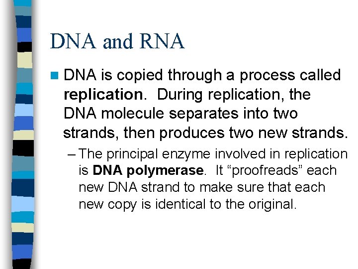 DNA and RNA n DNA is copied through a process called replication. During replication,