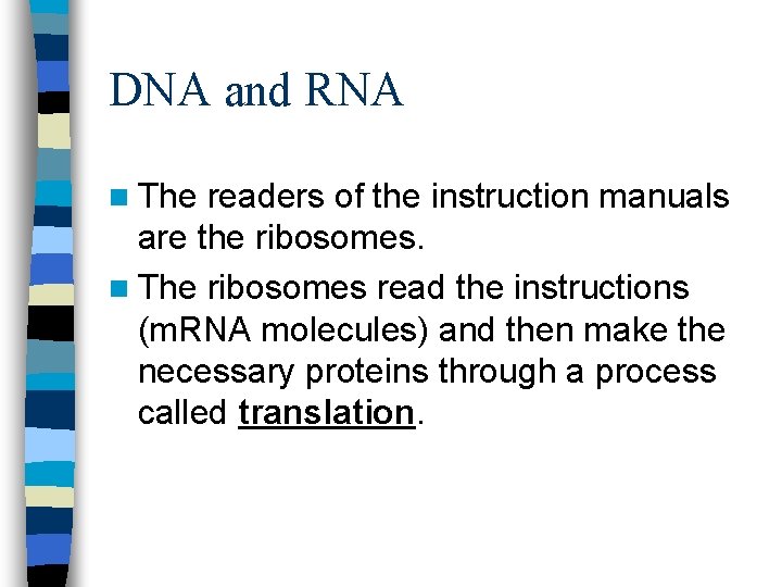 DNA and RNA n The readers of the instruction manuals are the ribosomes. n