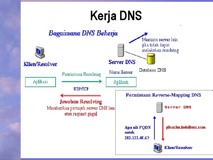 Kerja DNS 