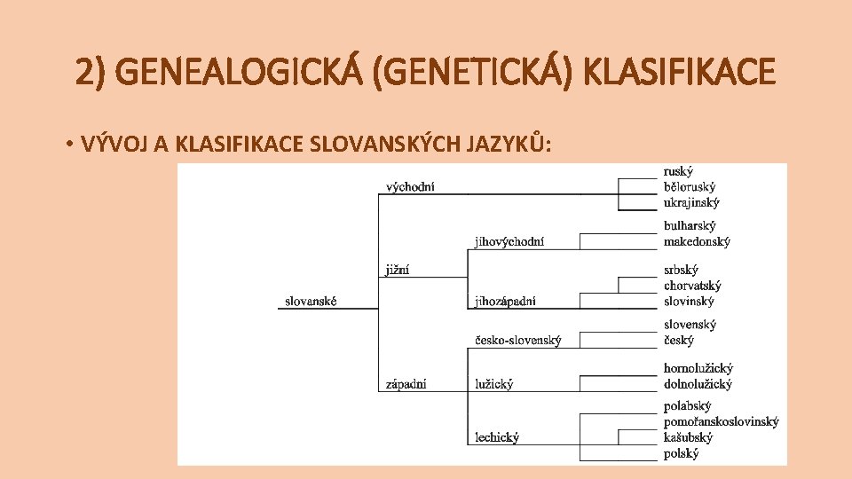 2) GENEALOGICKÁ (GENETICKÁ) KLASIFIKACE • VÝVOJ A KLASIFIKACE SLOVANSKÝCH JAZYKŮ: 2) GENEALOGICKÁ (GENETICKÁ) KLASIFIKACE • VÝVOJ A KLASIFIKACE SLOVANSKÝCH JAZYKŮ: