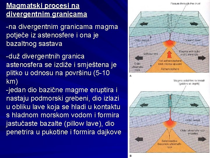 Magmatski procesi na divergentnim granicama -na divergentnim granicama magma potječe iz astenosfere i ona
