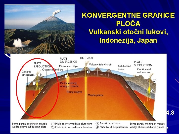 KONVERGENTNE GRANICE PLOČA Vulkanski otočni lukovi, Indonezija, Japan Fig. 4. 8 44 