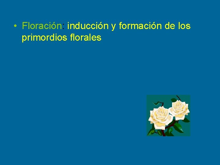  • Floración: inducción y formación de los primordios florales 