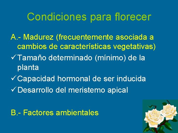 Condiciones para florecer A. - Madurez (frecuentemente asociada a cambios de características vegetativas) ü