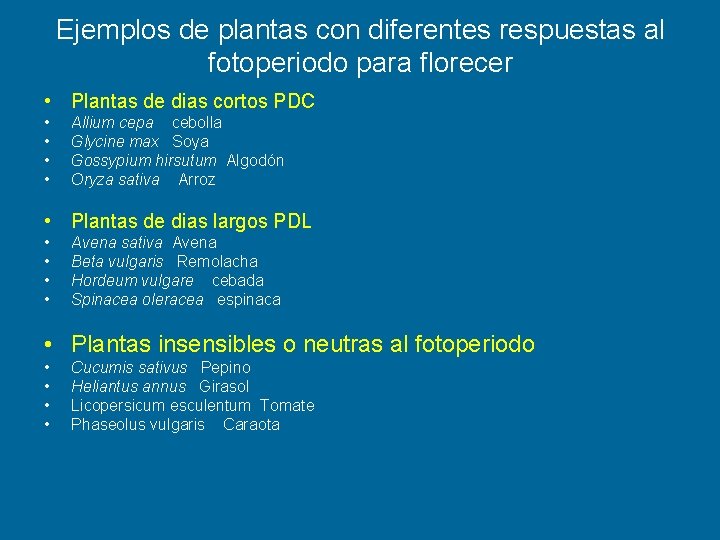 Ejemplos de plantas con diferentes respuestas al fotoperiodo para florecer • Plantas de dias