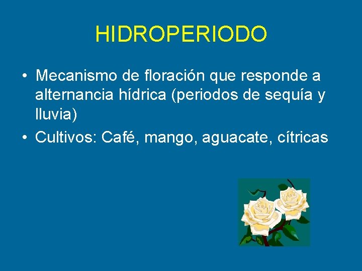 HIDROPERIODO • Mecanismo de floración que responde a alternancia hídrica (periodos de sequía y