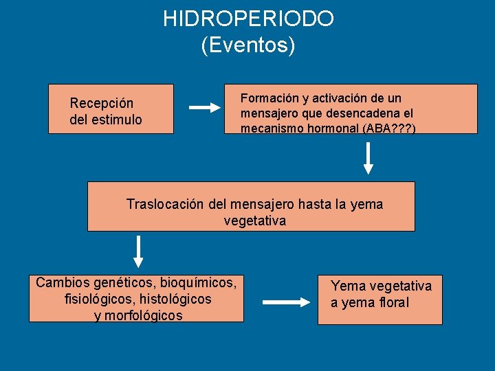 HIDROPERIODO (Eventos) Recepción del estimulo Formación y activación de un mensajero que desencadena el HIDROPERIODO (Eventos) Recepción del estimulo Formación y activación de un mensajero que desencadena el