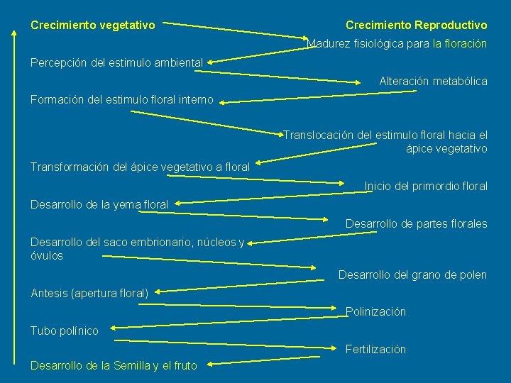 Crecimiento vegetativo Crecimiento Reproductivo Madurez fisiológica para la floración Percepción del estimulo ambiental Alteración