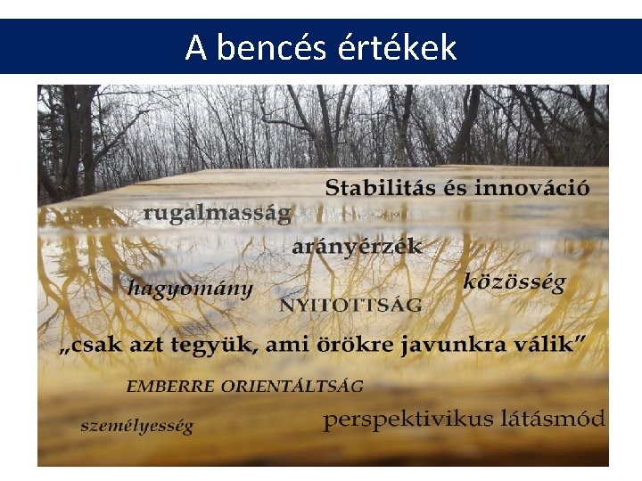 A bencés értékek 11 