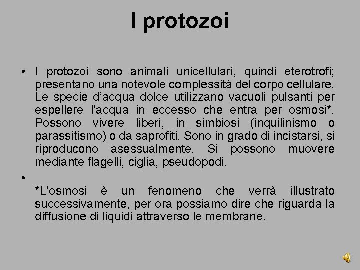 I protozoi • I protozoi sono animali unicellulari, quindi eterotrofi; presentano una notevole complessità