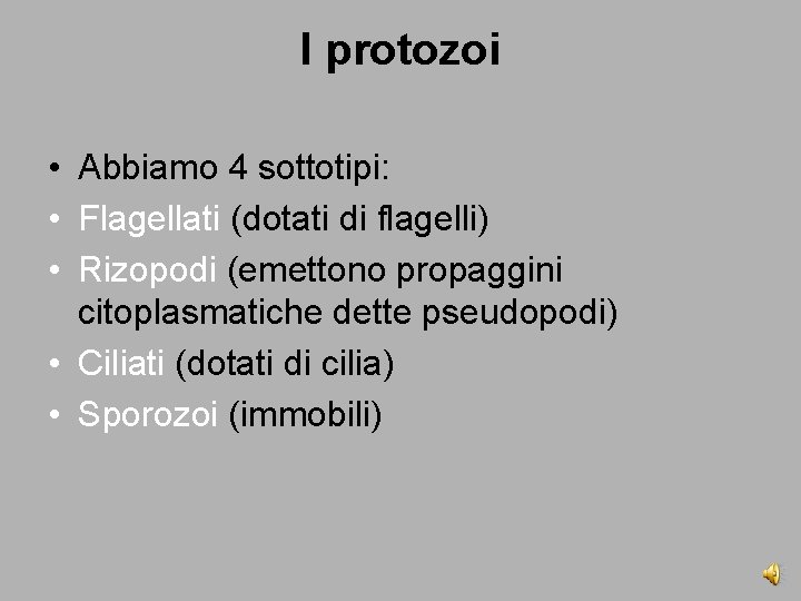 I protozoi • Abbiamo 4 sottotipi: • Flagellati (dotati di flagelli) • Rizopodi (emettono