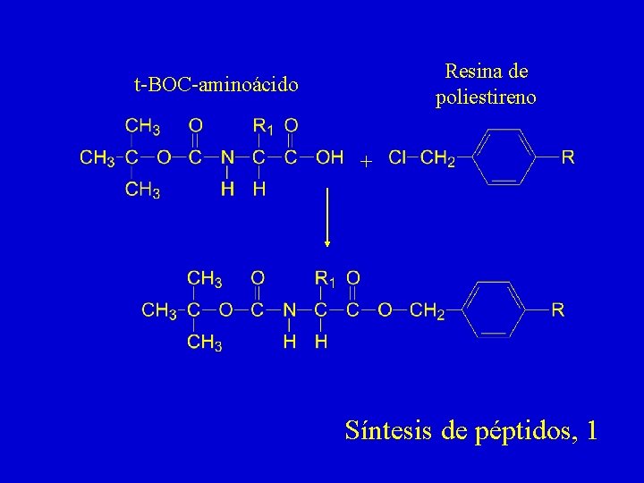 Resina de poliestireno t-BOC-aminoácido + Síntesis de péptidos, 1 