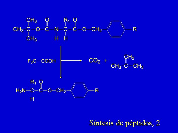 + Síntesis de péptidos, 2 