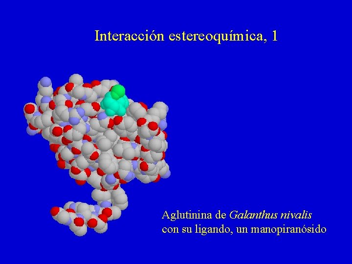 Interacción estereoquímica, 1 Aglutinina de Galanthus nivalis con su ligando, un manopiranósido 