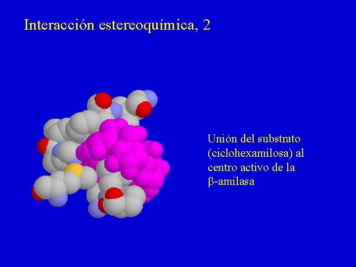 Interacción estereoquímica, 2 Unión del substrato (ciclohexamilosa) al centro activo de la b-amilasa 