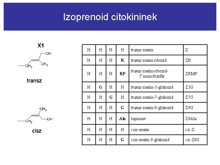 Izoprenoid citokininek X 1 H H transz-zeatin Z H H H R transz-zeatin ribozid