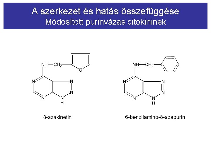 A szerkezet és hatás összefüggése Módosított purinvázas citokininek 