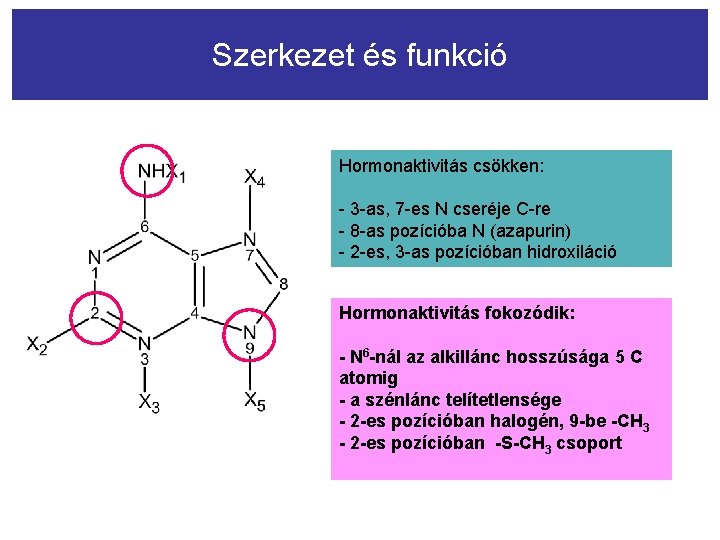 Szerkezet és funkció Hormonaktivitás csökken: - 3 -as, 7 -es N cseréje C-re -