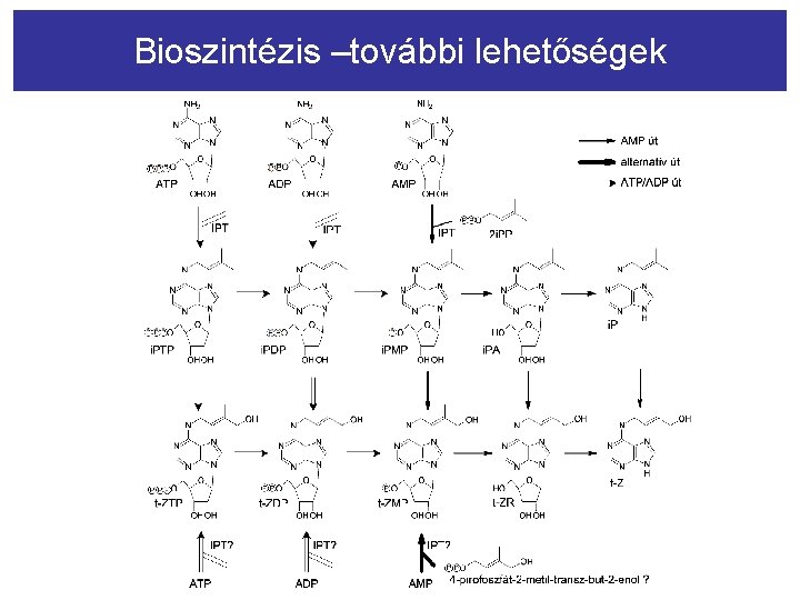 Bioszintézis –további lehetőségek 