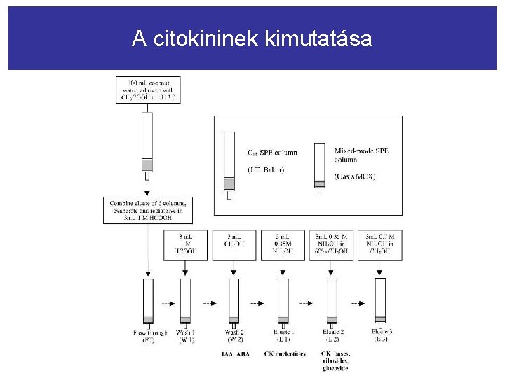 A citokininek kimutatása 