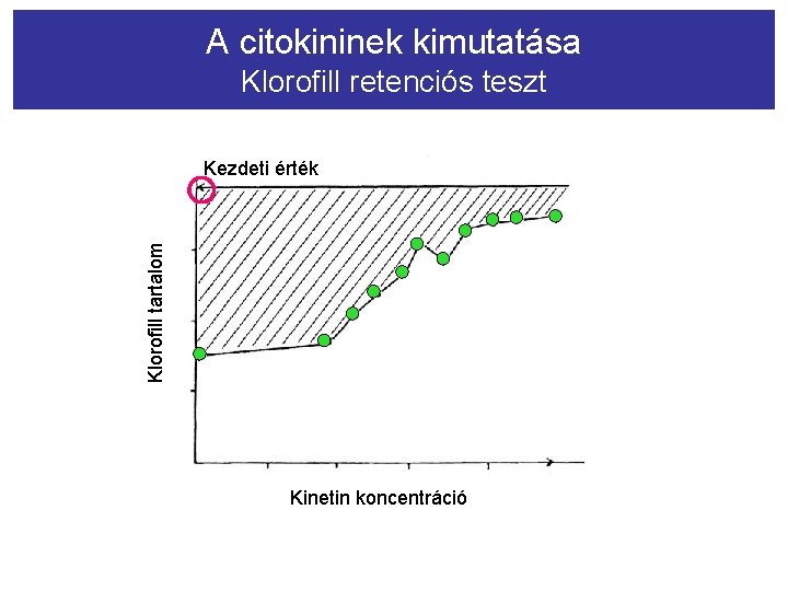 A citokininek kimutatása Klorofill retenciós teszt Klorofill tartalom Kezdeti érték Kinetin koncentráció 