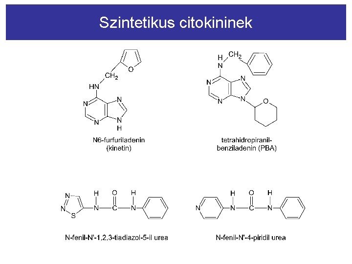 Szintetikus citokininek 