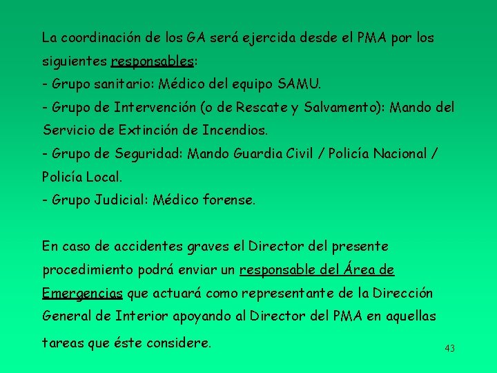 La coordinación de los GA será ejercida desde el PMA por los siguientes responsables: