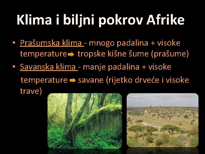 Klima i biljni pokrov Afrike • Prašumska klima - mnogo padalina + visoke temperature